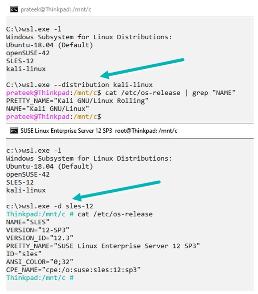 Глава 2. Выгрузка, установка и настройка - Изучаем подсистемы Windows для  Linux - Практическое руководство для разработчиков и прифессионалов ИТ